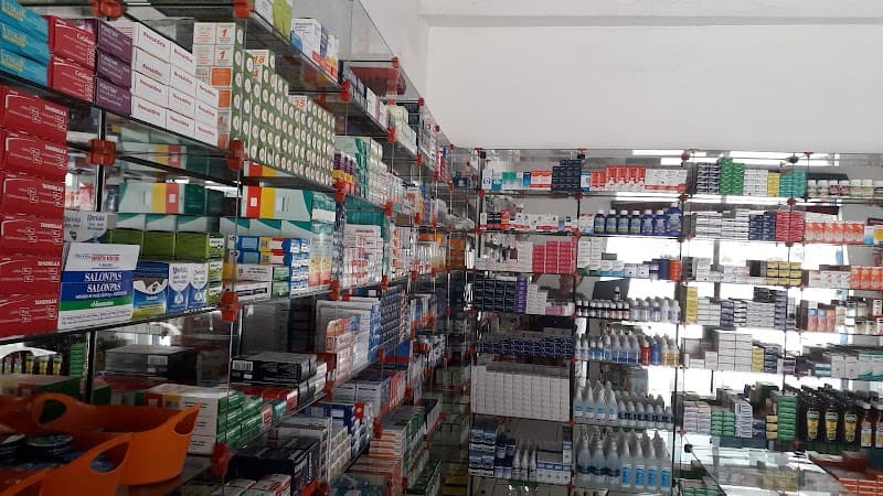 L. J. Fialho Santa Inês photo