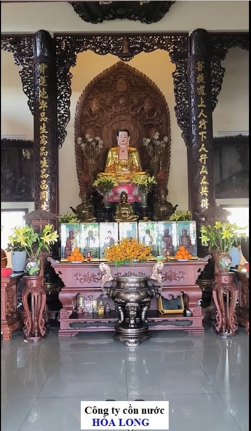 LÁ BỒ ĐỀ Quận Bình Thạnh photo