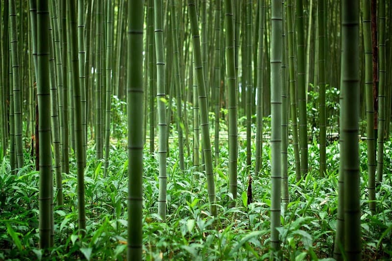 La Casa Spa and Wellness Center New York photo