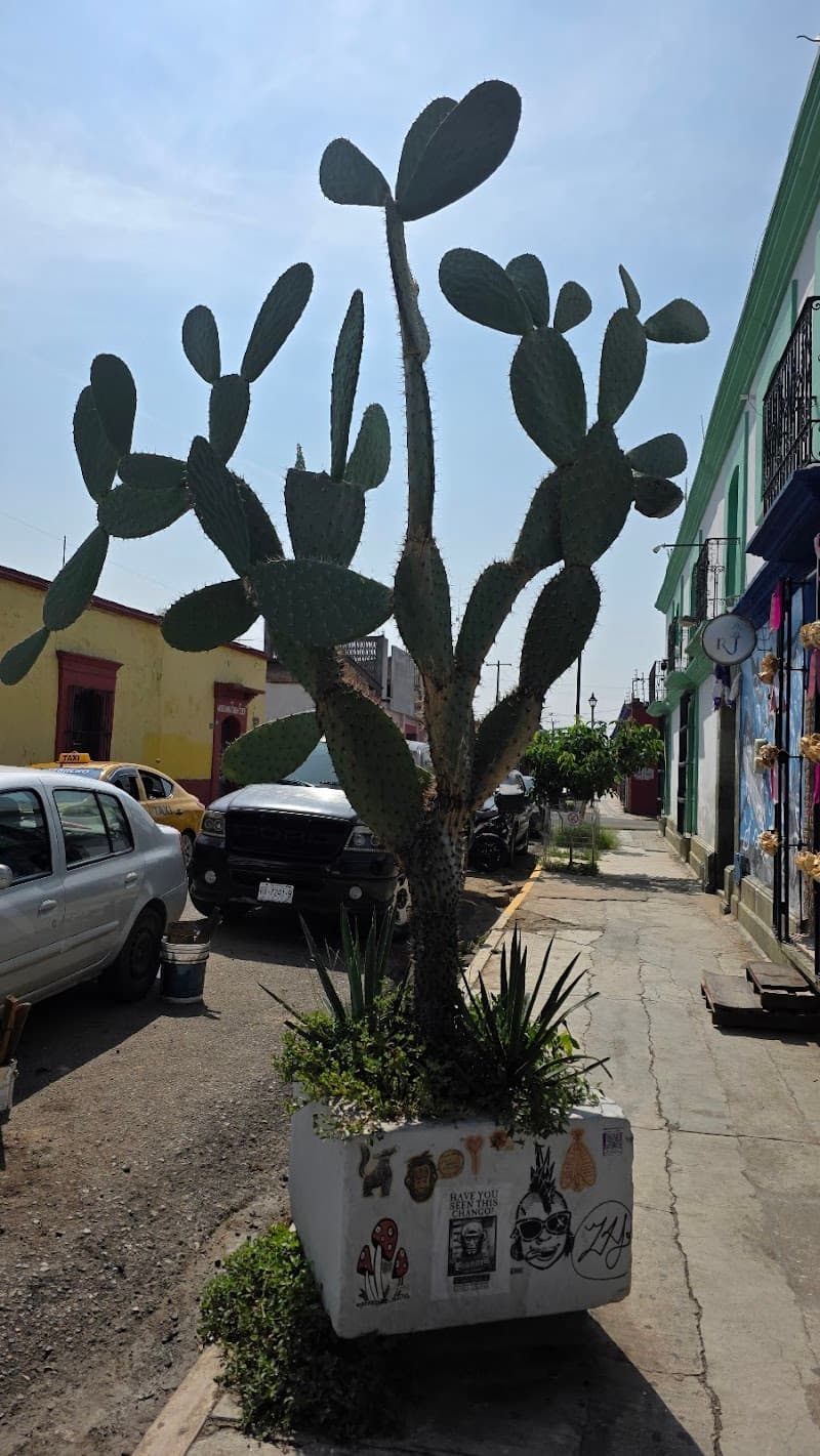 La Croix Oaxaca de Juárez photo