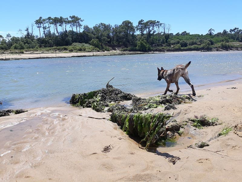 La Guittiere Talmont-Saint-Hilaire photo