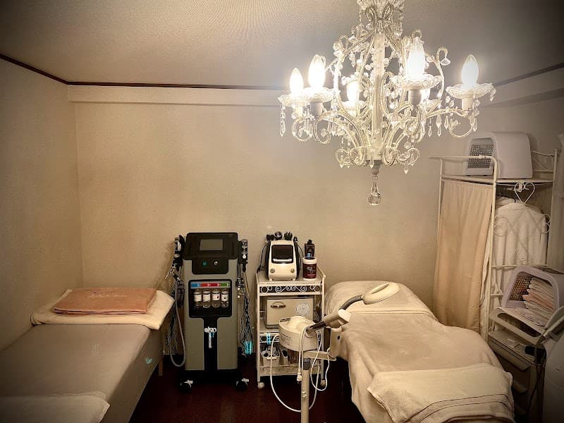 La KaLym ~Lymph Drainage and Medicinal Tea Salon for Musicians~ Nerima City photo