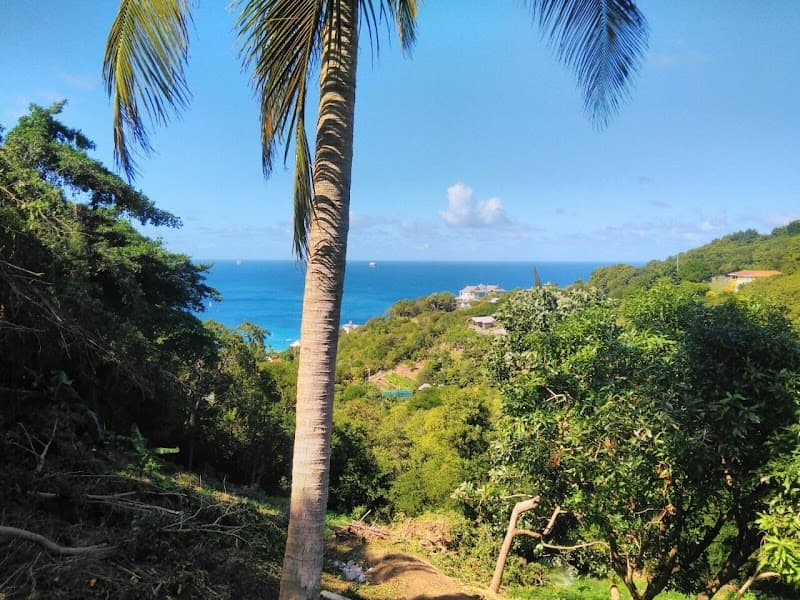 La Mer Spa Saint Lucia photo