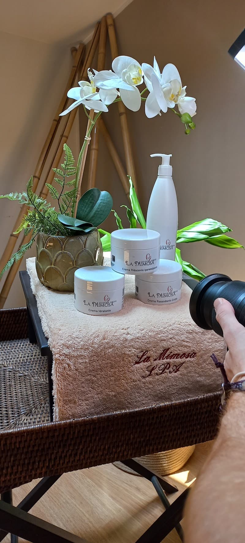 La Mimosa Spa Di Maso Adriana Pecetto Torinese photo