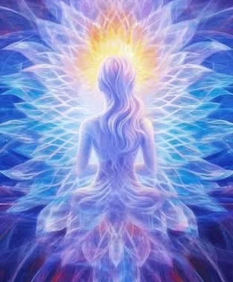 La Nebuleuse Energie Vitale Carcès photo