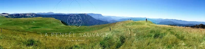 La Pensée Sauvage - L'expérience Détox Plan-de-Baix photo