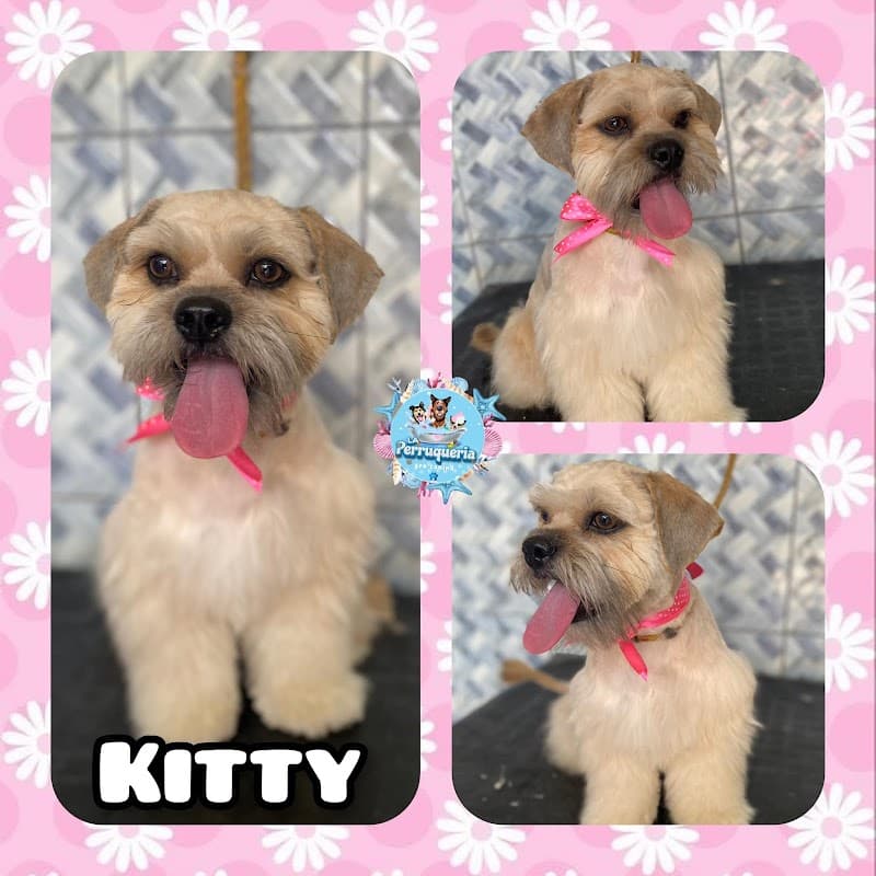 La Perruqueria - Spa Canino Casma photo