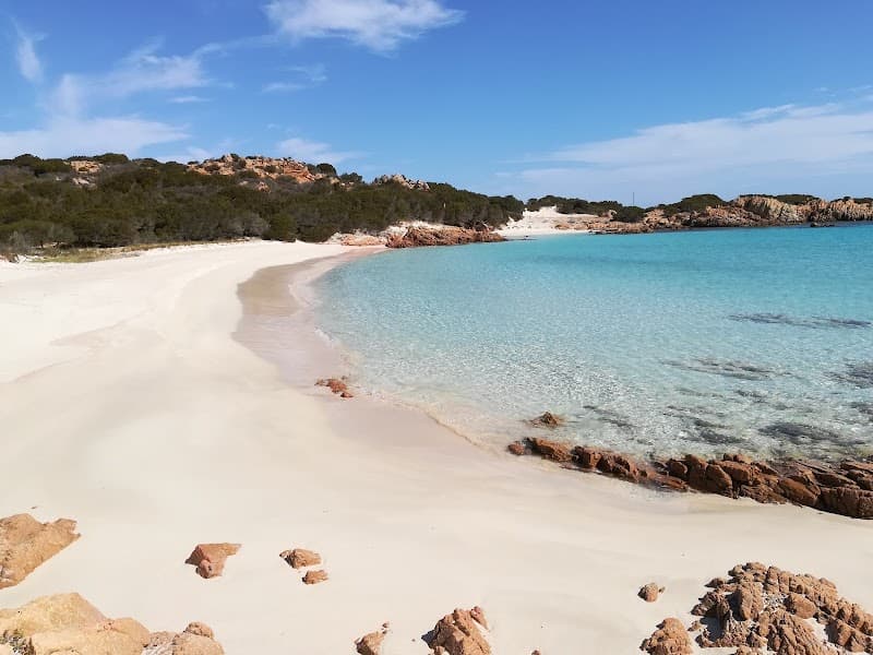 La Spiaggia Rosa Pieve di Cento photo