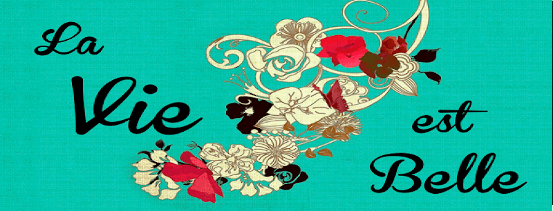 La Vie est Belle Andernos-les-Bains photo