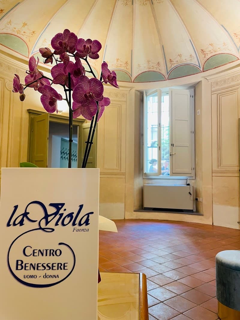 La Viola Centro Benessere Faenza photo
