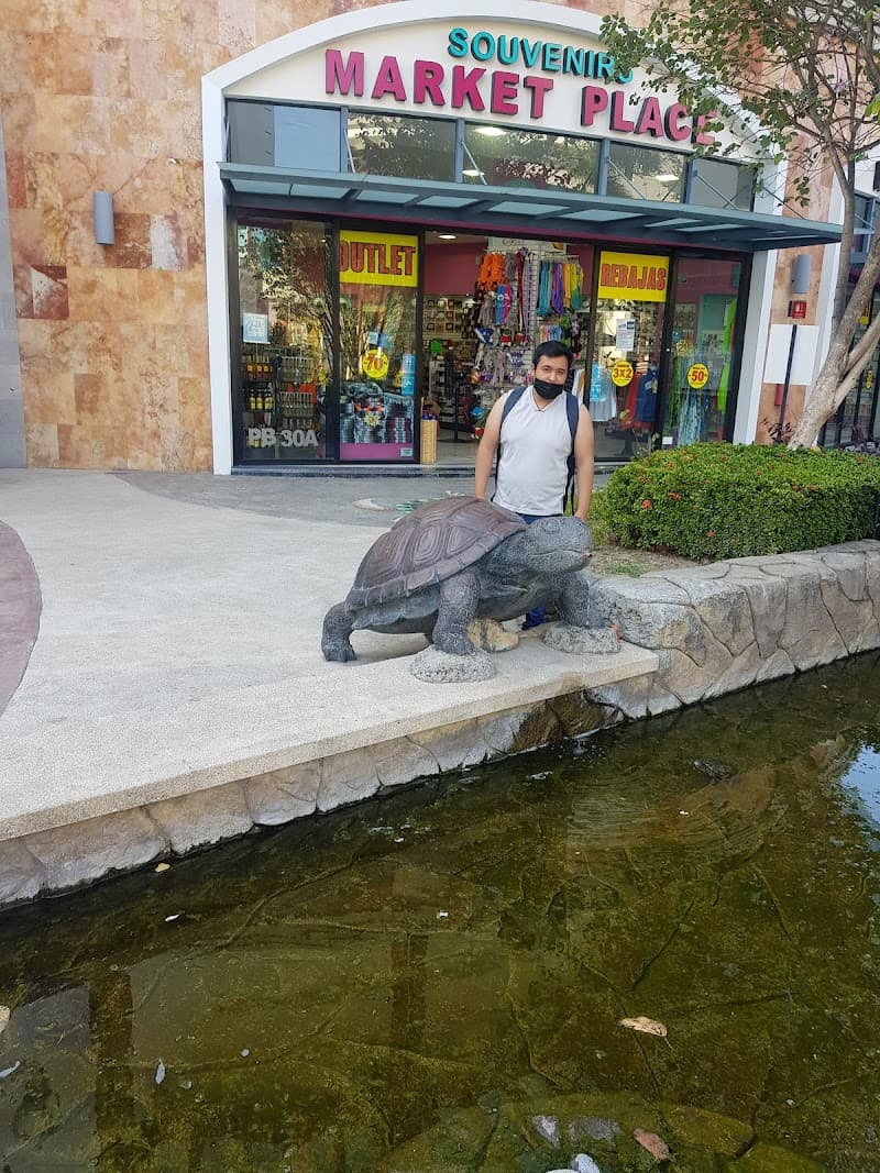 La Zona Original Puerto Vallarta photo