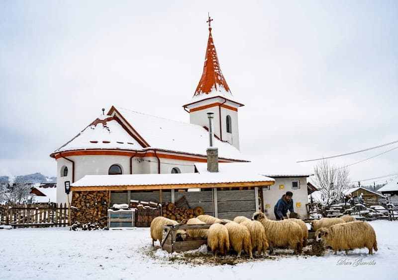 LaCăsuță Petrila photo