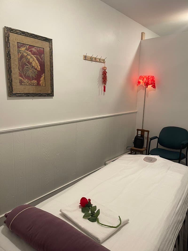 Lacey & Company Day Spa Waterville photo