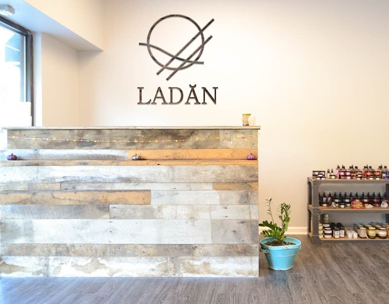 Ladan Holistic Spa Falls Church photo