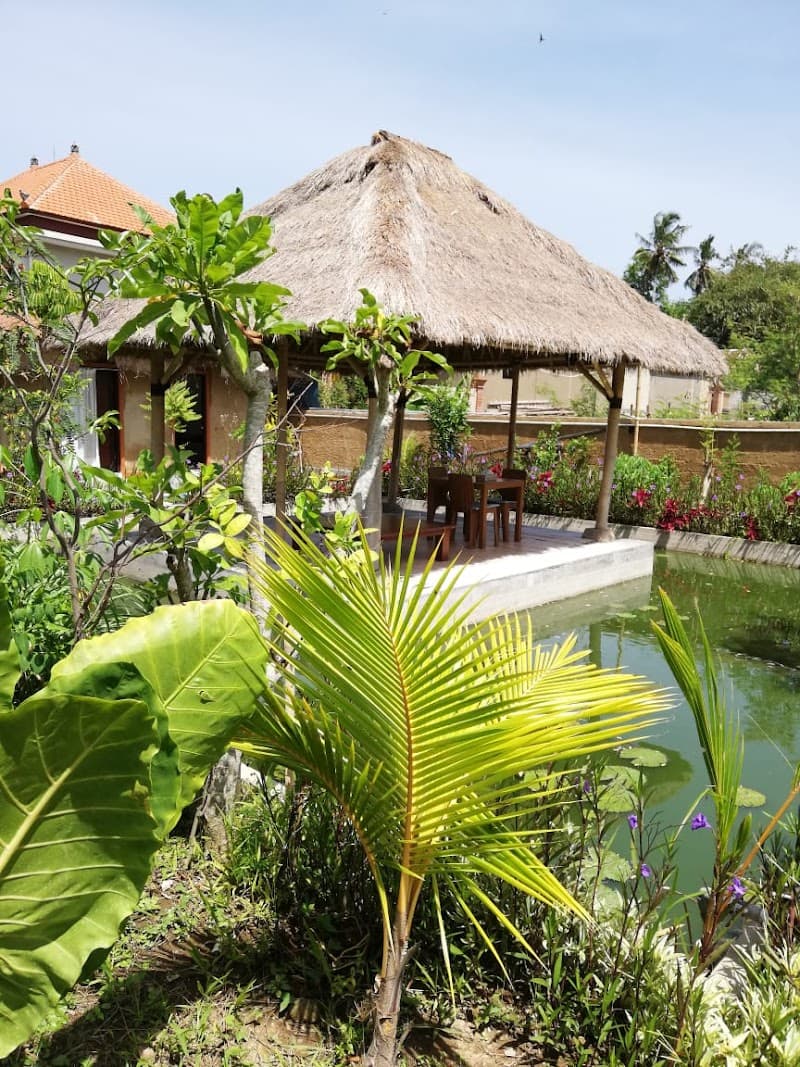 Ladies herb sauna Gianyar photo