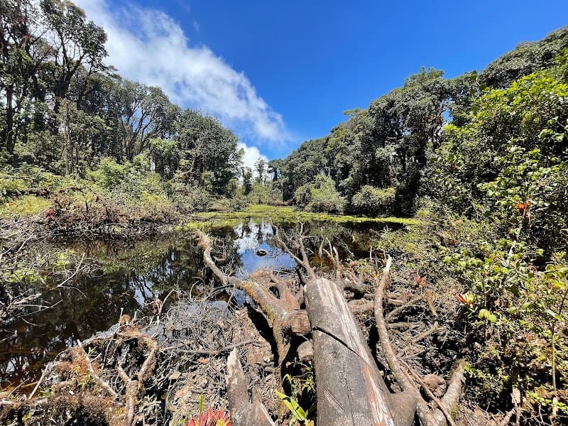 Laguna Volcan Barba Heredia photo