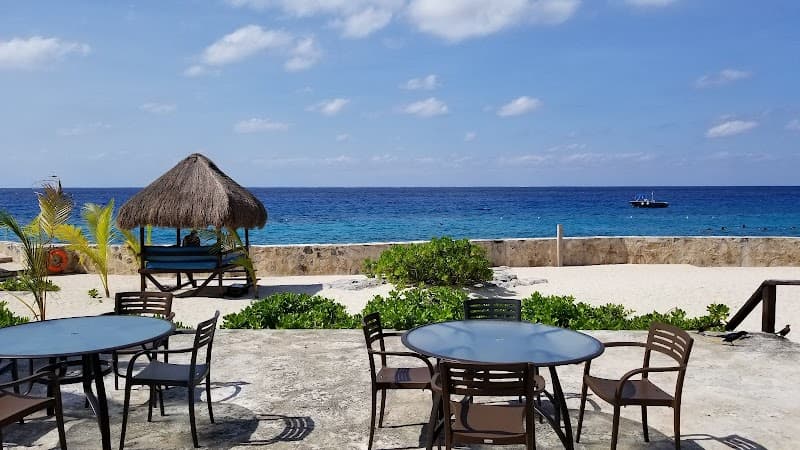 Lalik at Buccanos Cozumel photo