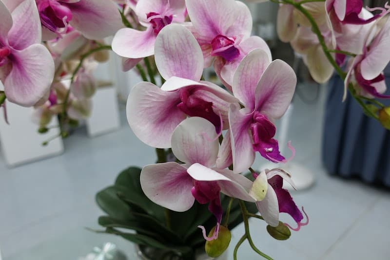 Lan Anh Beauty - Công Hà, Thuận Thành, Bắc Ninh Huyện Thuận Thành photo