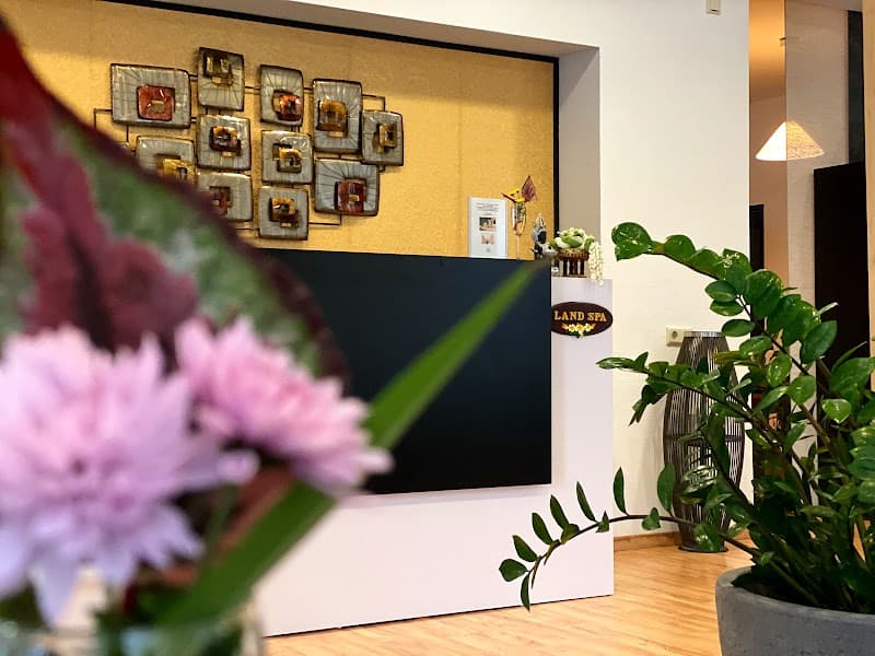 LandSpa Thai Spa & Massage Tullnerbach photo