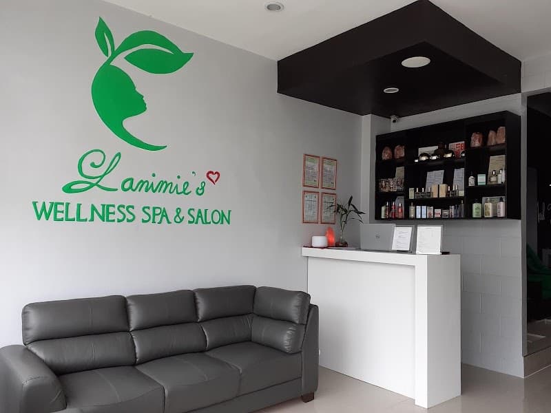 Lanimies Wellness Spa and Salon Rosario photo