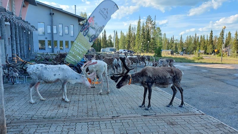 Lapland Hotels Luostotunturi photo