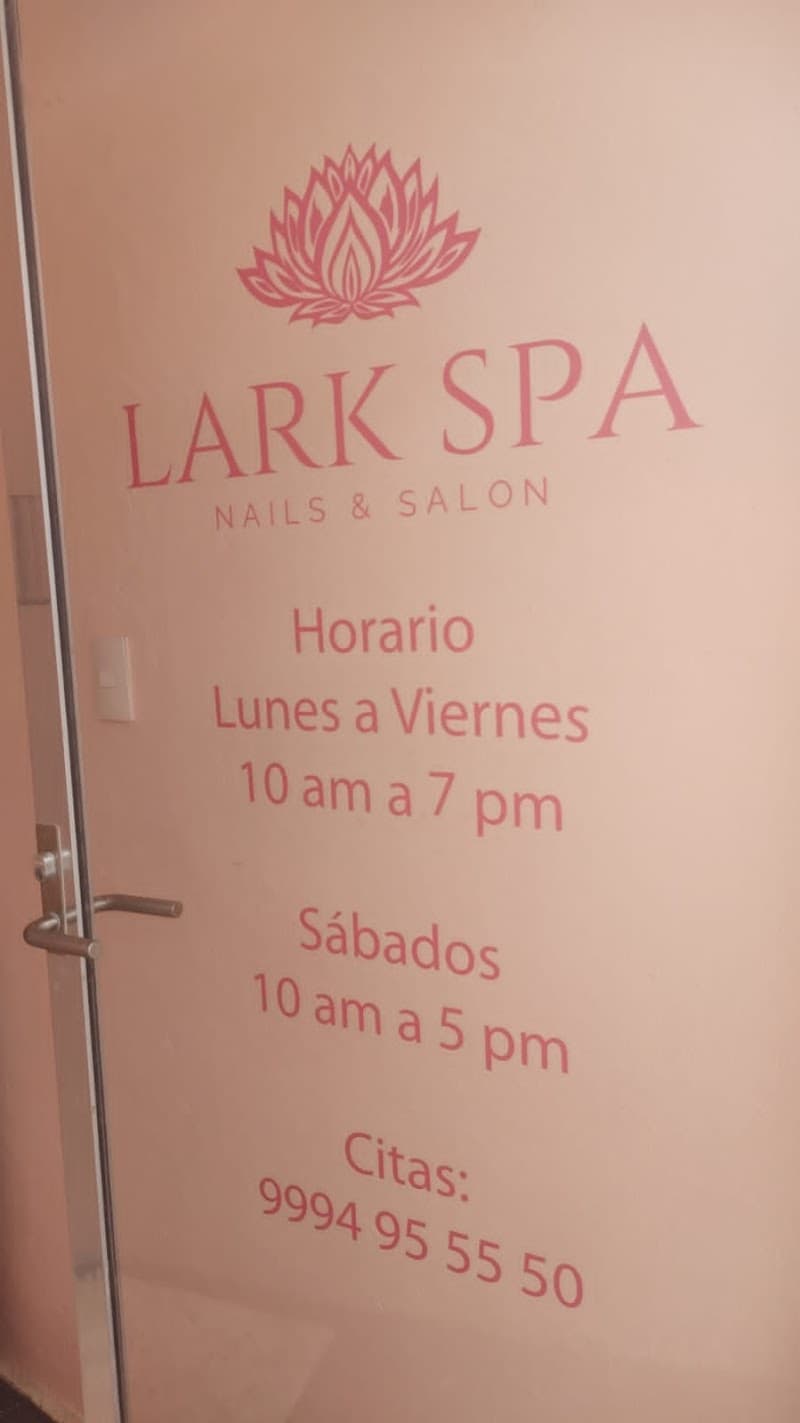 Lark Spa Mérida photo