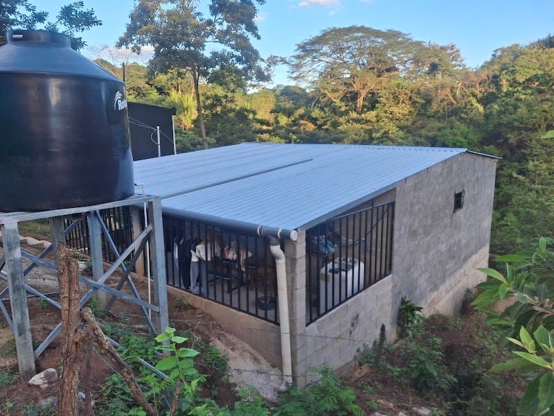 Las Manos de Dios San José Villanueva photo