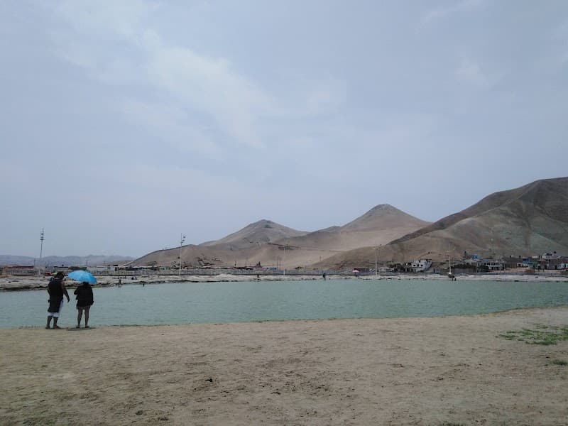 Las Salinas De Chilca photo