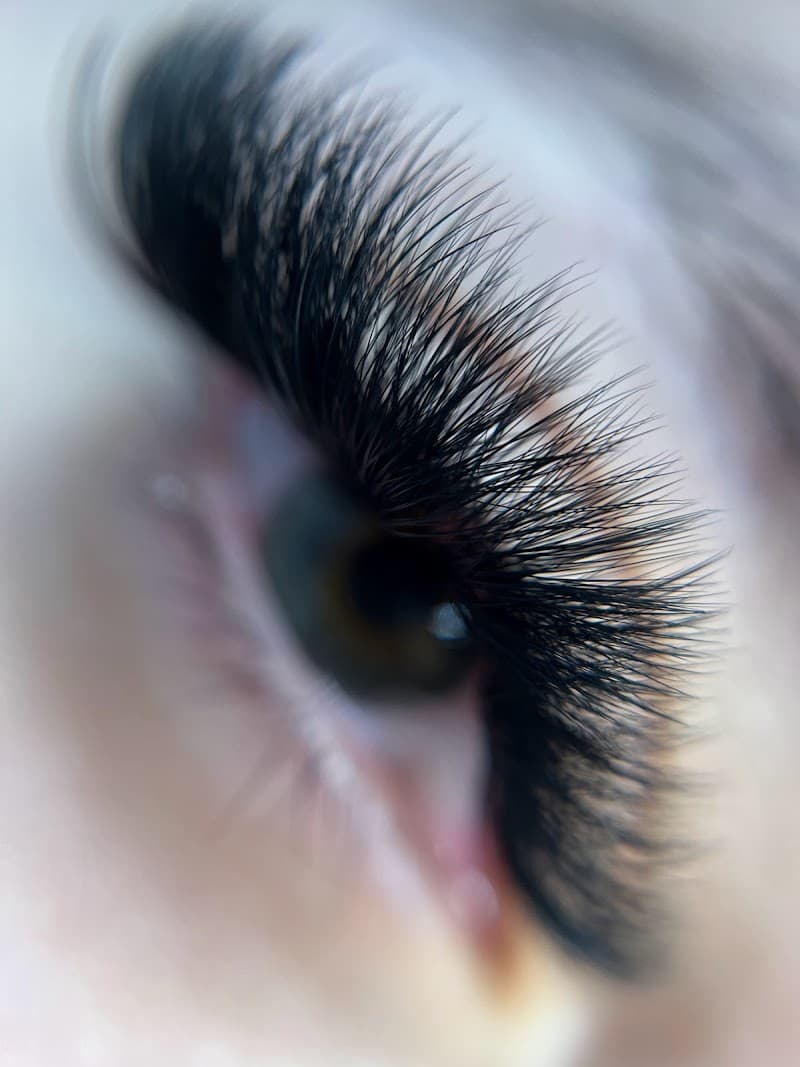 Lash Paradıse LLC Elyria photo