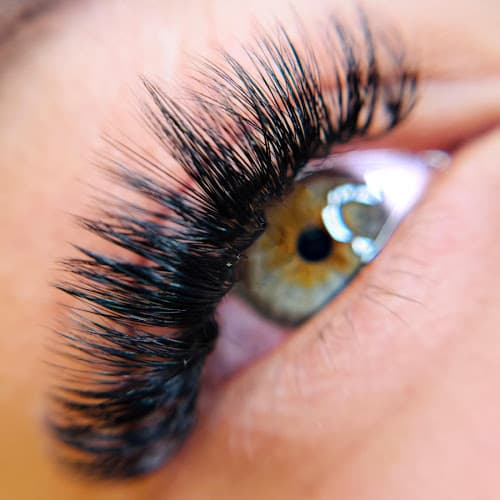 Latina brows Cochabamba photo