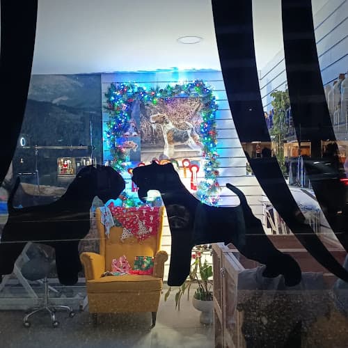 Lavakan Andorra | Spa per a mascotes Andorra la Vella photo