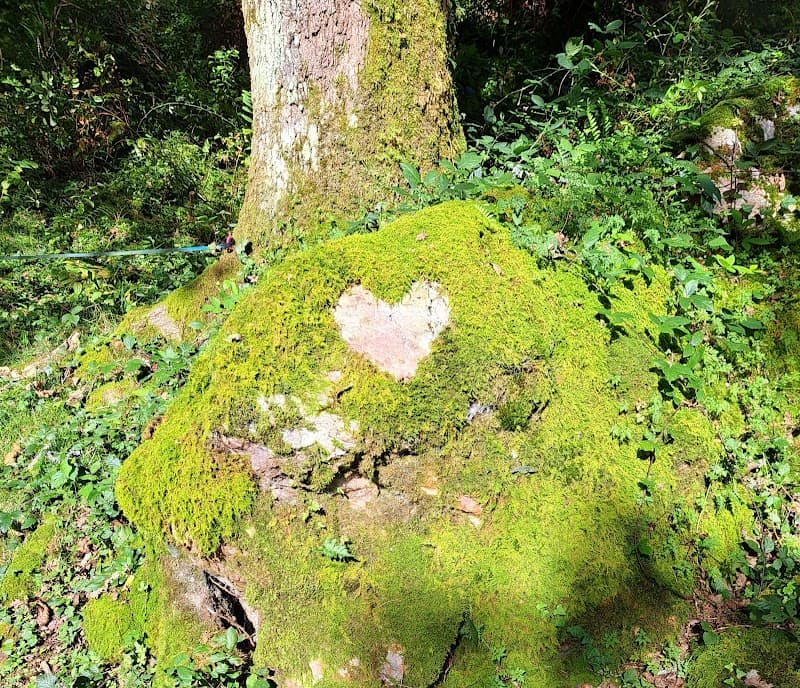 Le Corps et L'Ame Boucau photo