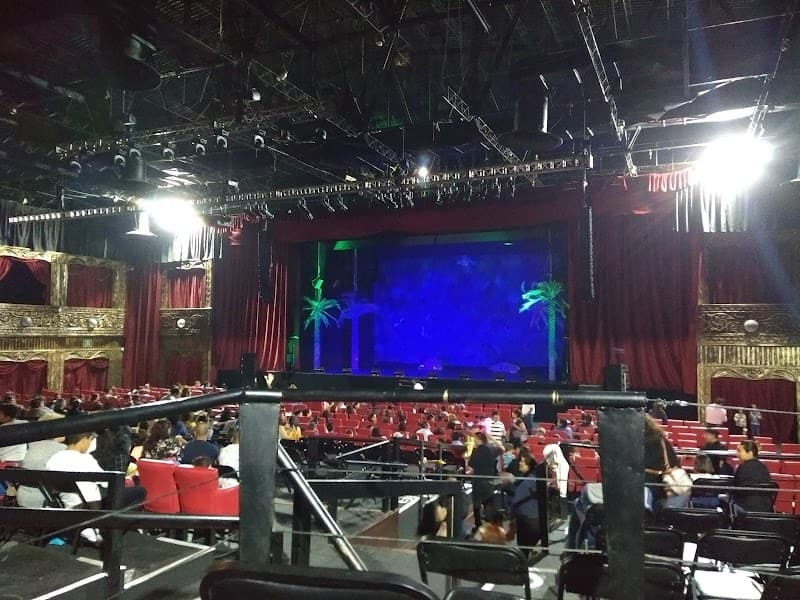 Le Salon de Molliere Miguel Hidalgo photo