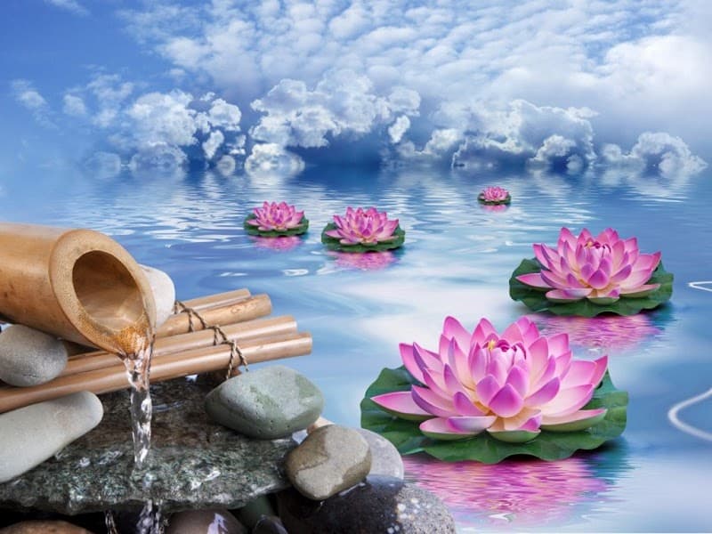 Les Trésors du Bien Être Hambach photo