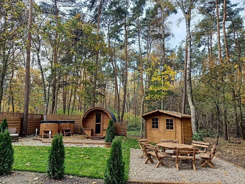 Leśna bania lizawka Poznań photo