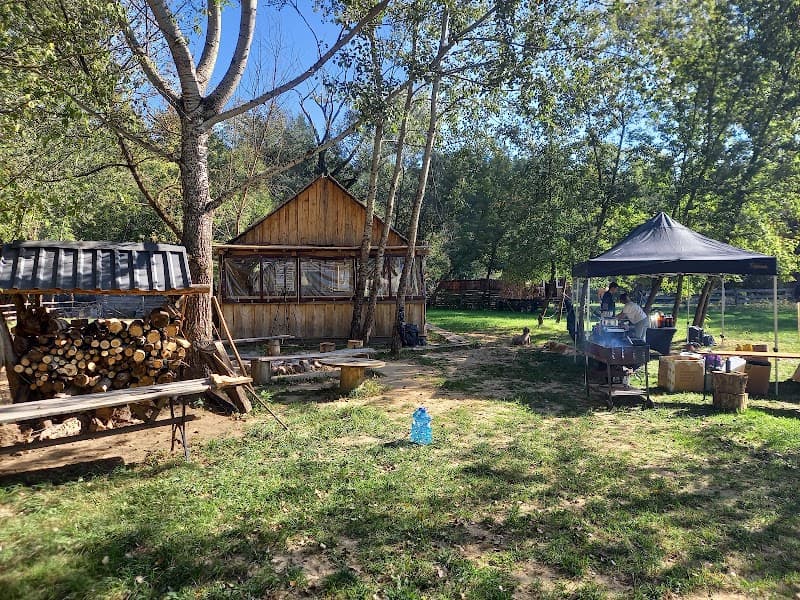 Leśna Sauna Wieliszew photo