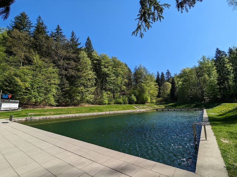 Lesní koupaliště Liberec photo