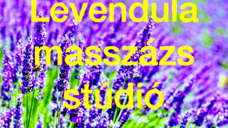 Levendula Masszázsszalon & Harmónia Stúdió Üllő photo