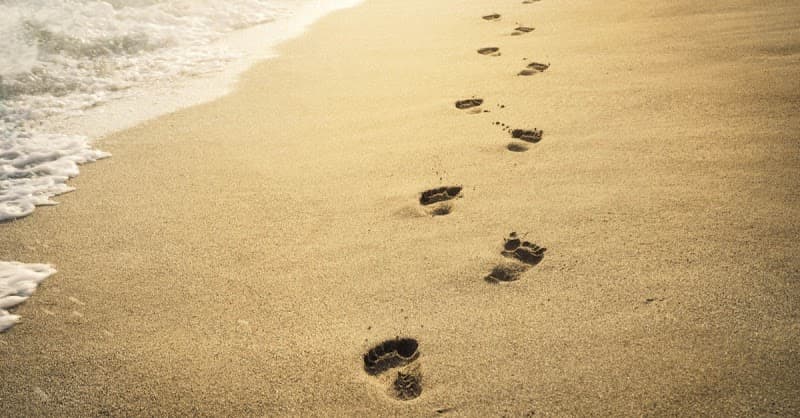 Levenskracht: Start 2 Tai Chi Nijlen photo