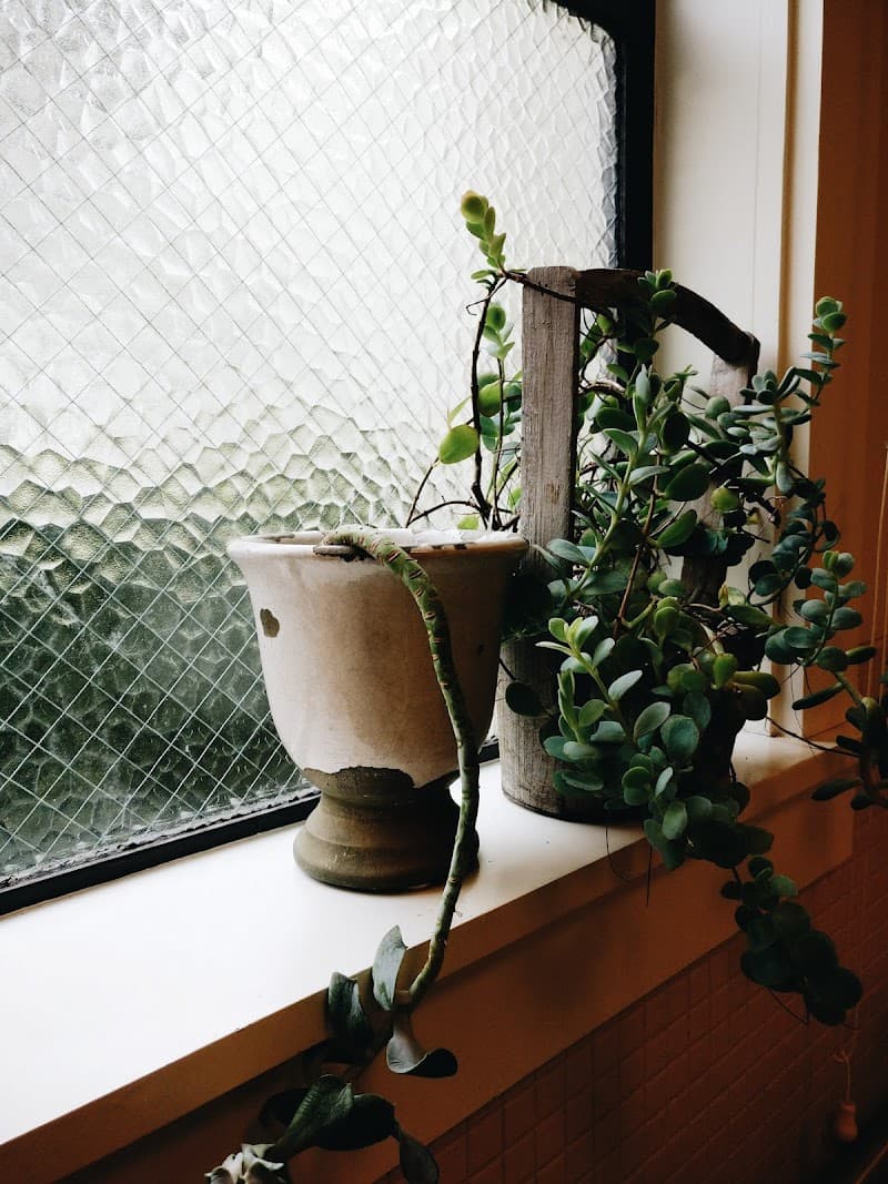 Lidia's Skincare Willow Springs photo