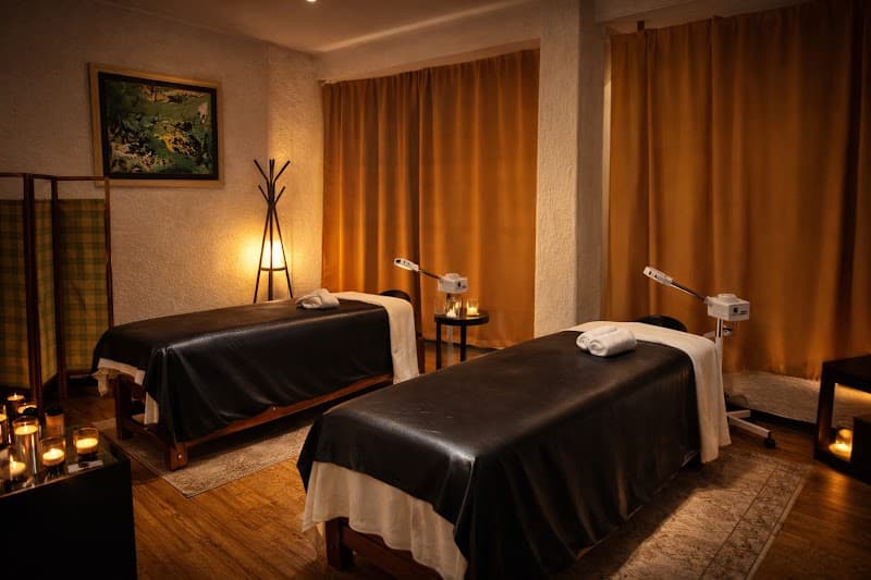 Lie Spa Miguel Hidalgo photo
