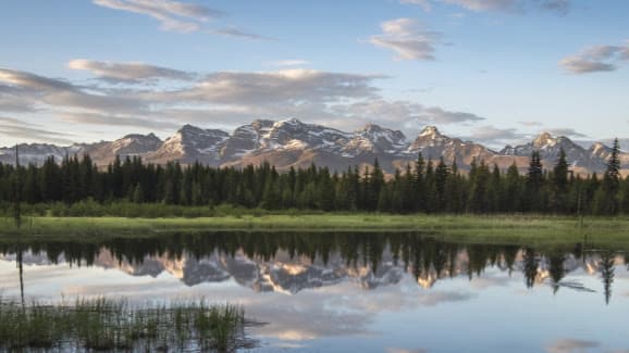 Life Energy Massage Clinic Bozeman photo