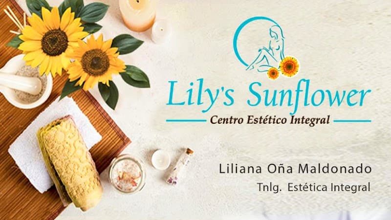 Lily's Sunflower Santa Elena photo