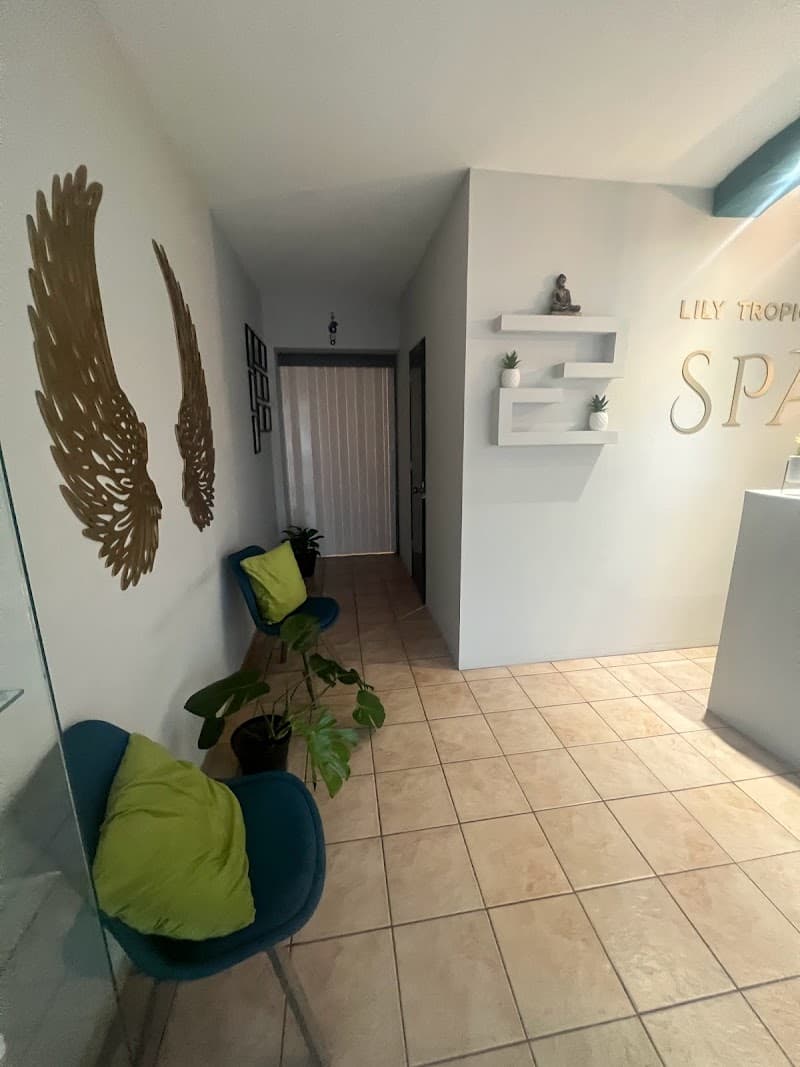 Lily Tropical SPA Monterrey photo