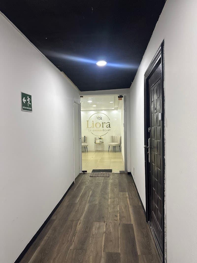 Liora Spa & wellness León photo