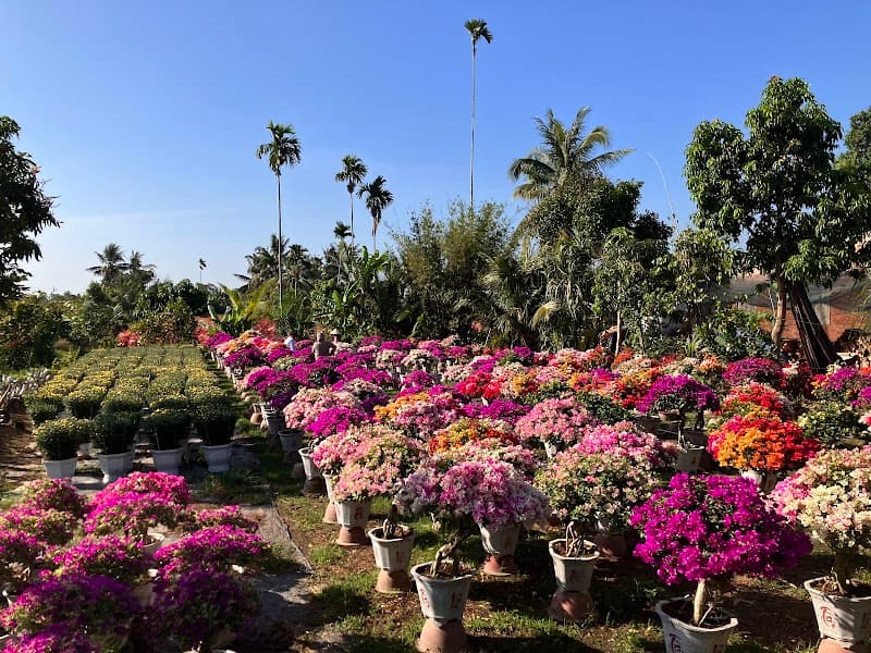 Lisa Hoa Bến Tre photo