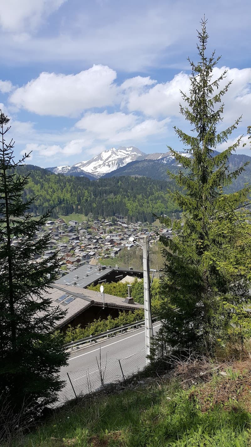 Little Wild Morzine photo