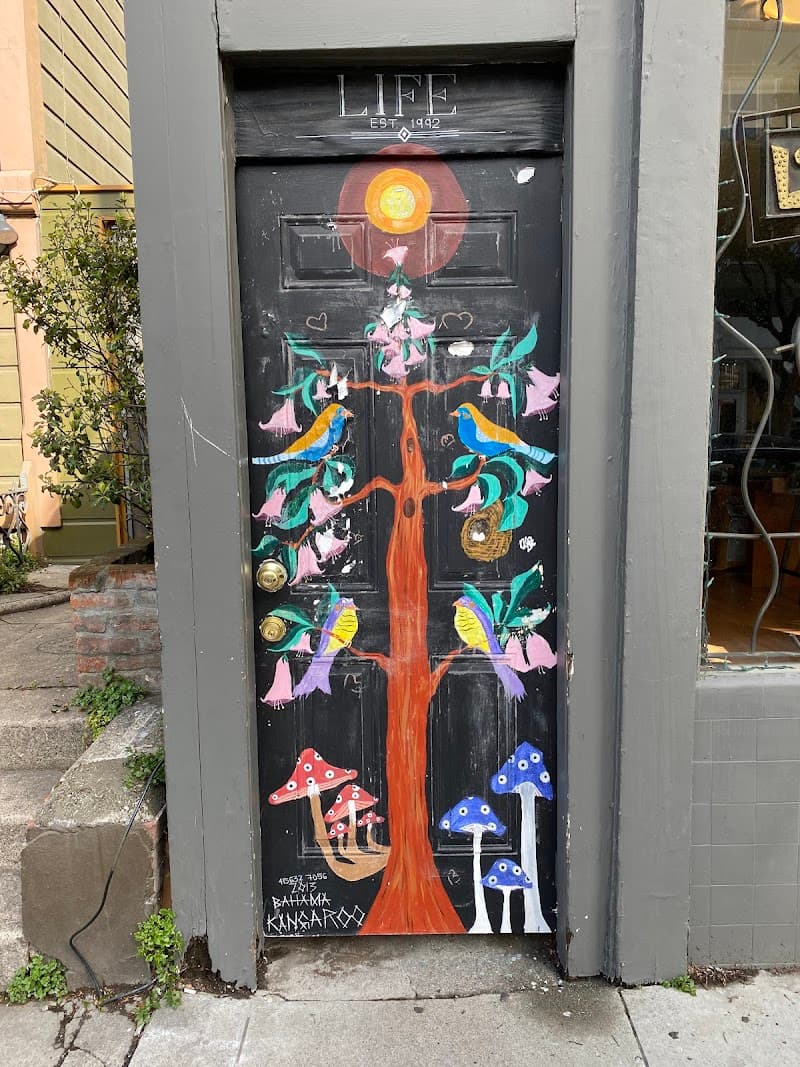 Live Your Soul Essence San Francisco photo