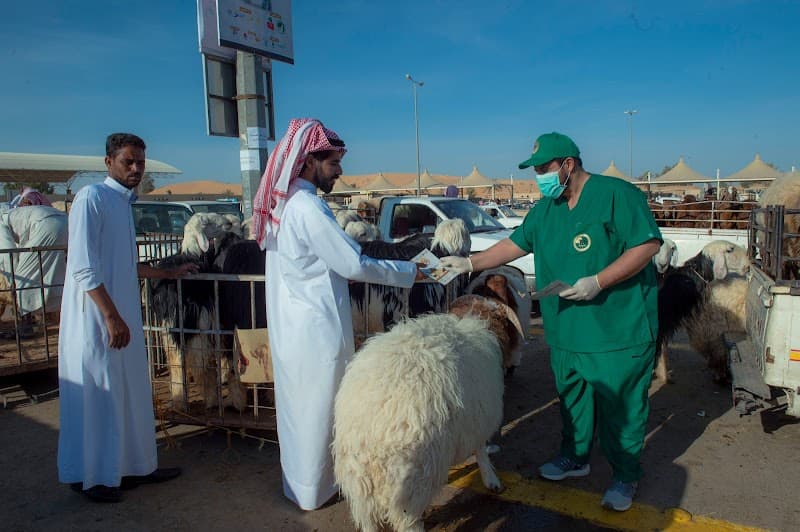 Livestock Market Buraidah photo