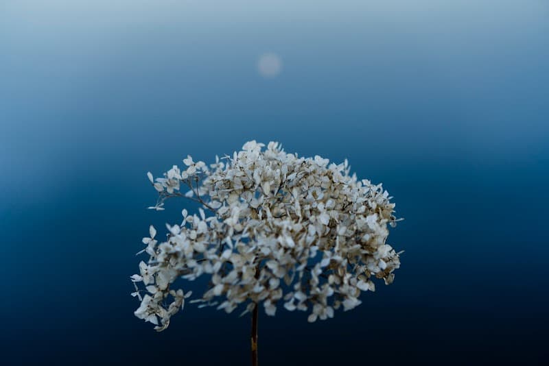 LM2 L'art du Mieux-etre Rouyn-Noranda photo